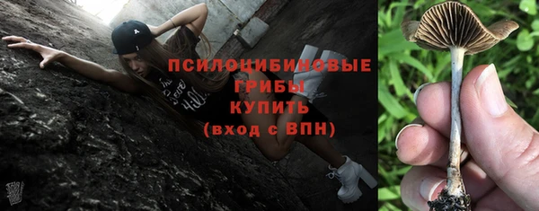 бошки Алзамай