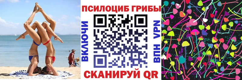 Галлюциногенные грибы Magic Shrooms  цена наркотик  Старая Русса 